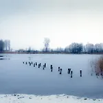 فندق Seehotel Luisenhof