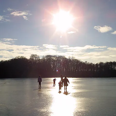 Seehotel Luisenhof فندق 3*