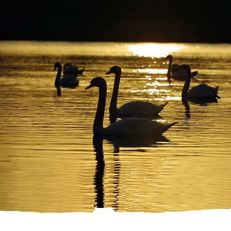 Seehotel Luisenhof 3* Falkenhagen (Mark)