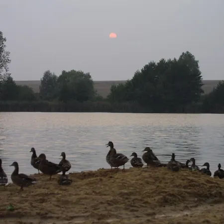 Hotel Seehotel Luisenhof