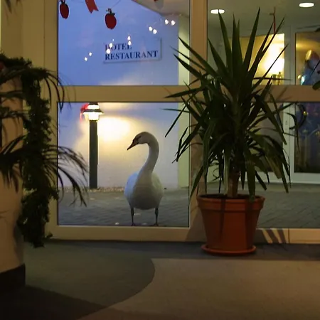 Seehotel Luisenhof
