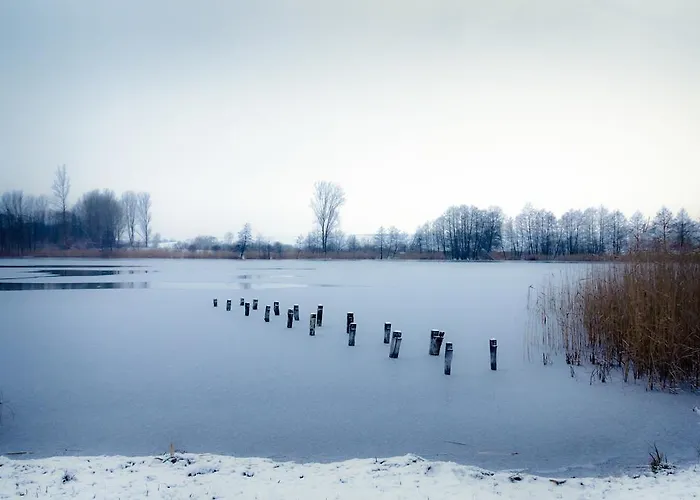 酒店 路易森霍夫酒店
