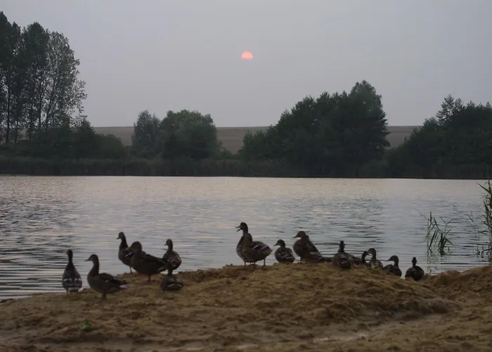 酒店 路易森霍夫酒店 法尔肯哈根