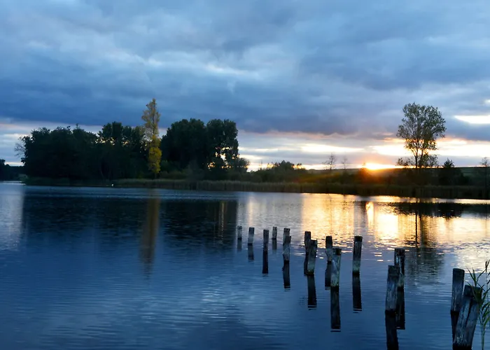 酒店 路易森霍夫酒店