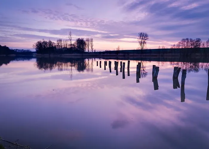 酒店 路易森霍夫酒店 3*