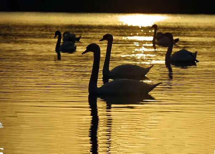 路易森霍夫酒店 3* 法尔肯哈根